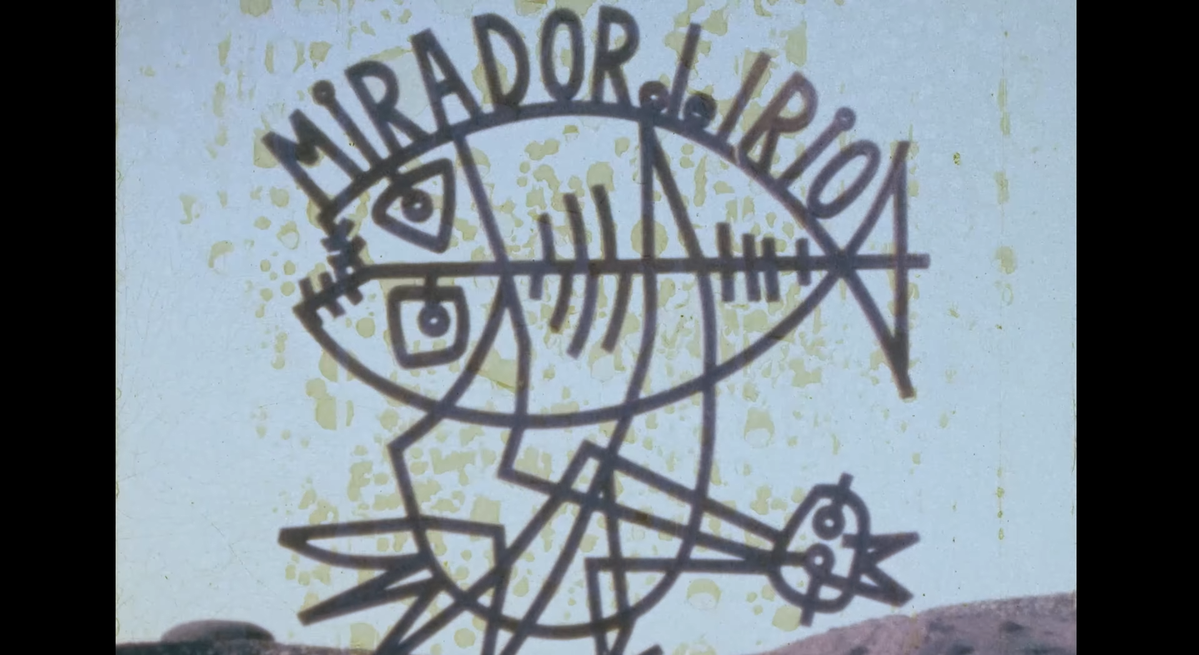 Visita al Mirador del Río y jardines del Hotel Salinas en VIDEOS 